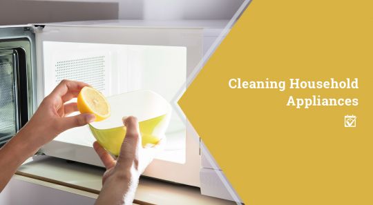 Cleaning Household Appliances